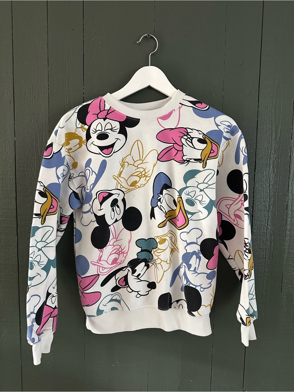 Disney Mickey and Friends Character Graphic Sweatshirt